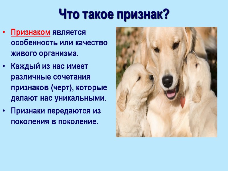 Что такое признак? Признаком является особенность или качество  живого организма.  Каждый из